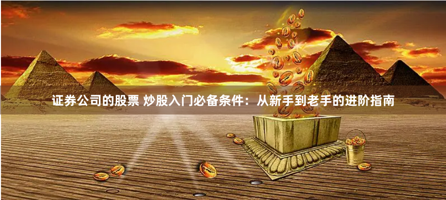 证券公司的股票 炒股入门必备条件：从新手到老手的进阶指南
